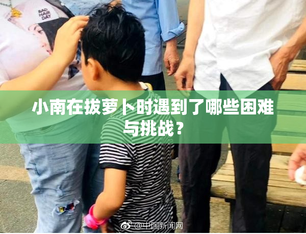 小南在拔萝卜时遇到了哪些困难与挑战？