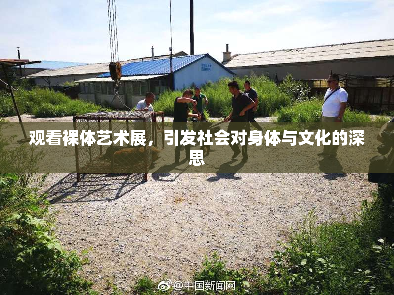 观看裸体艺术展，引发社会对身体与文化的深思