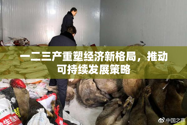 一二三产重塑经济新格局，推动可持续发展策略