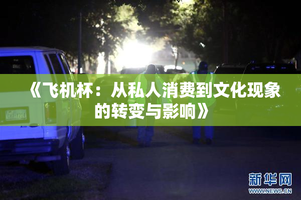《飞机杯：从私人消费到文化现象的转变与影响》