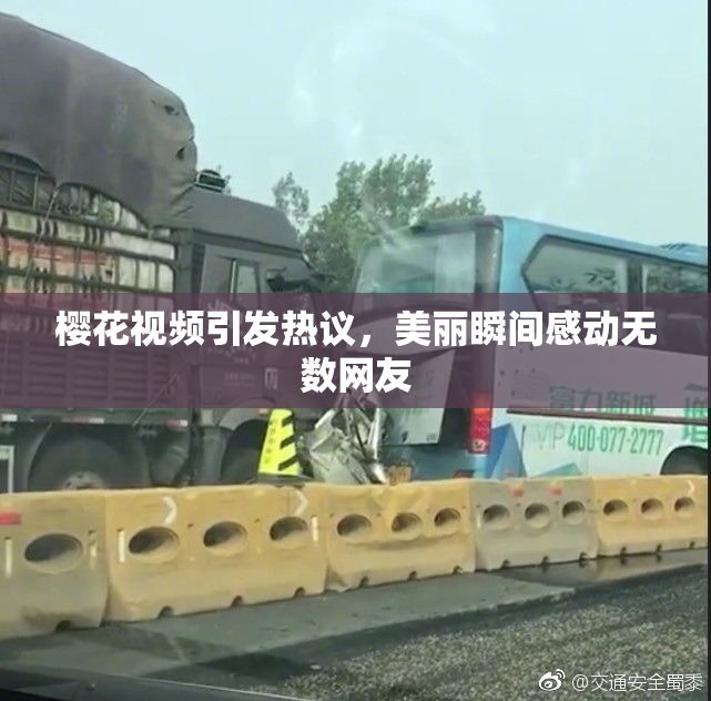 樱花视频引发热议，美丽瞬间感动无数网友