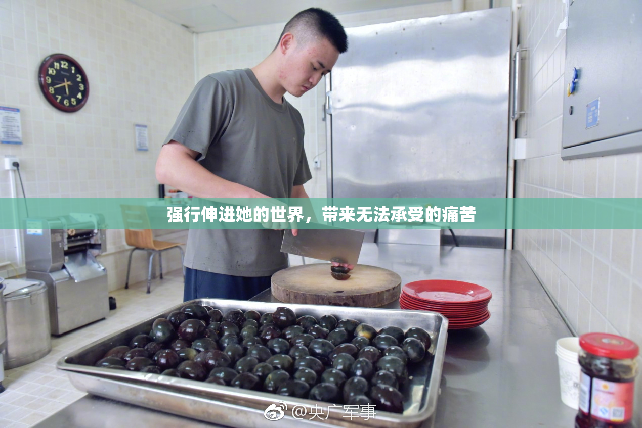 强行伸进她的世界，带来无法承受的痛苦
