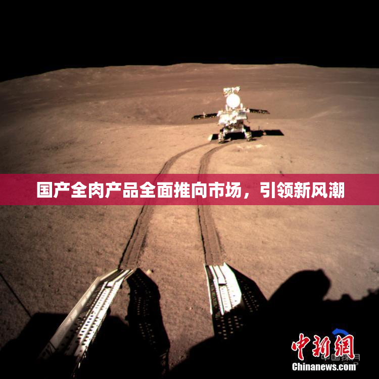 国产全肉产品全面推向市场，引领新风潮