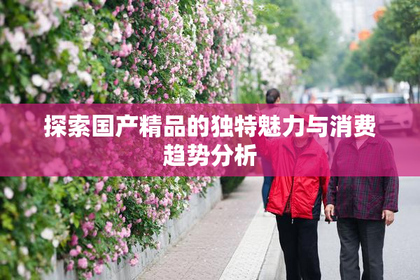 探索国产精品的独特魅力与消费趋势分析