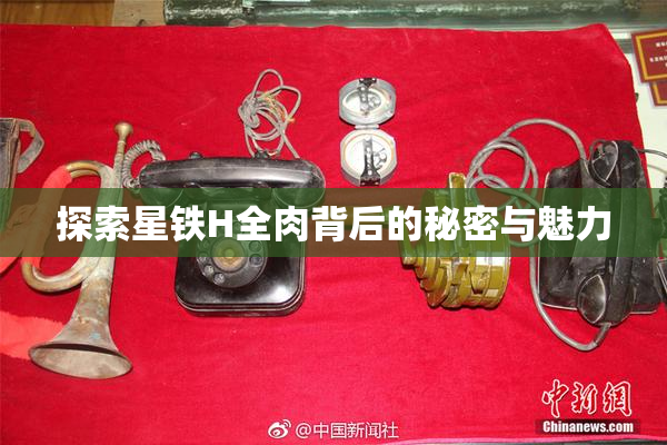 探索星铁H全肉背后的秘密与魅力