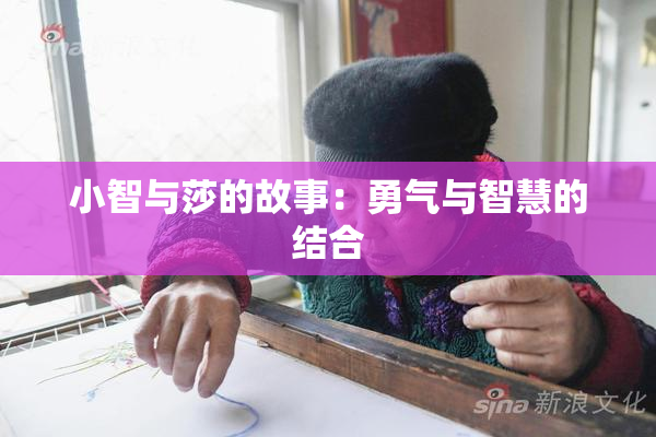 小智与莎的故事：勇气与智慧的结合