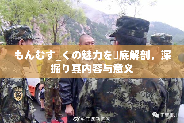 もんむす_くの魅力を徹底解剖，深掘り其内容与意义