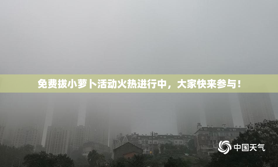 免费拔小萝卜活动火热进行中，大家快来参与！