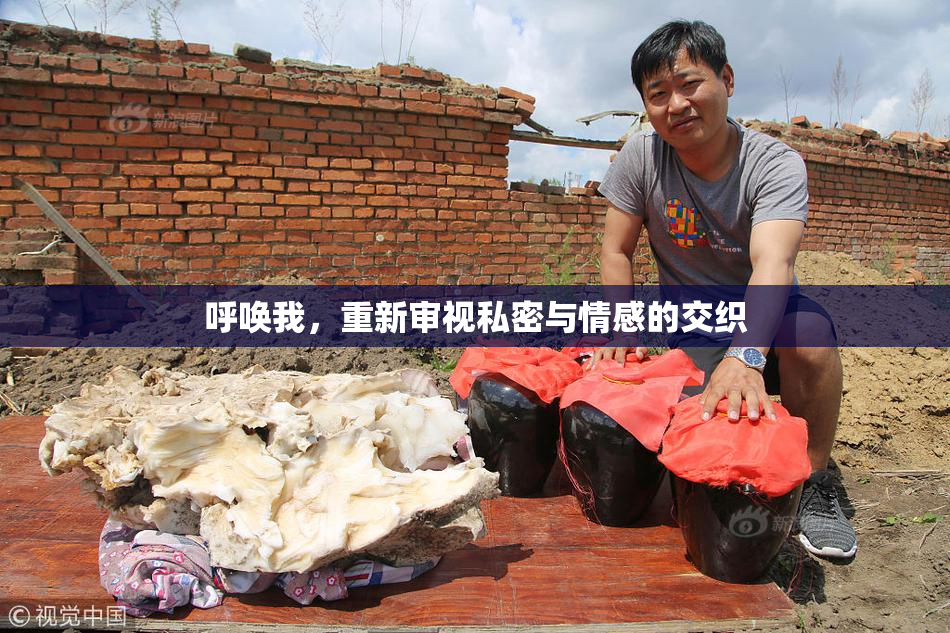 呼唤我，重新审视私密与情感的交织