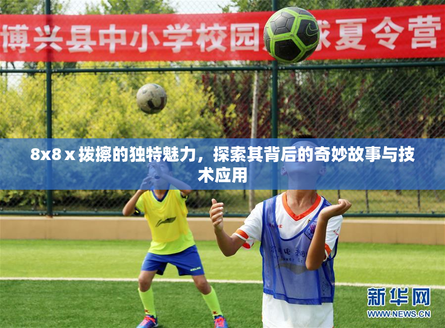 8x8ⅹ拨擦的独特魅力，探索其背后的奇妙故事与技术应用