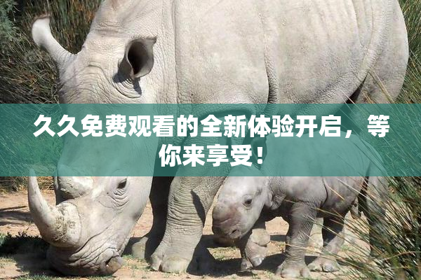 久久免费观看的全新体验开启，等你来享受！