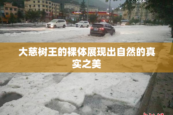 大慈树王的裸体展现出自然的真实之美