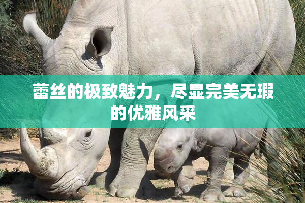蕾丝的极致魅力，尽显完美无瑕的优雅风采