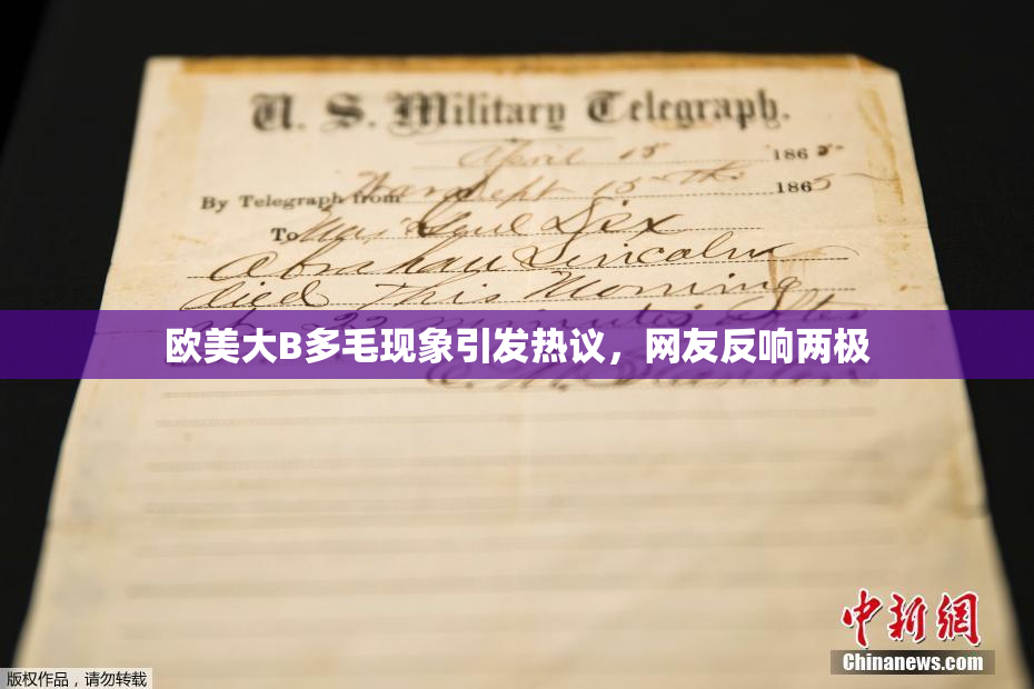 欧美大B多毛现象引发热议，网友反响两极