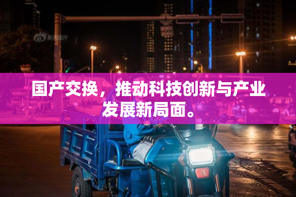 国产交换，推动科技创新与产业发展新局面。