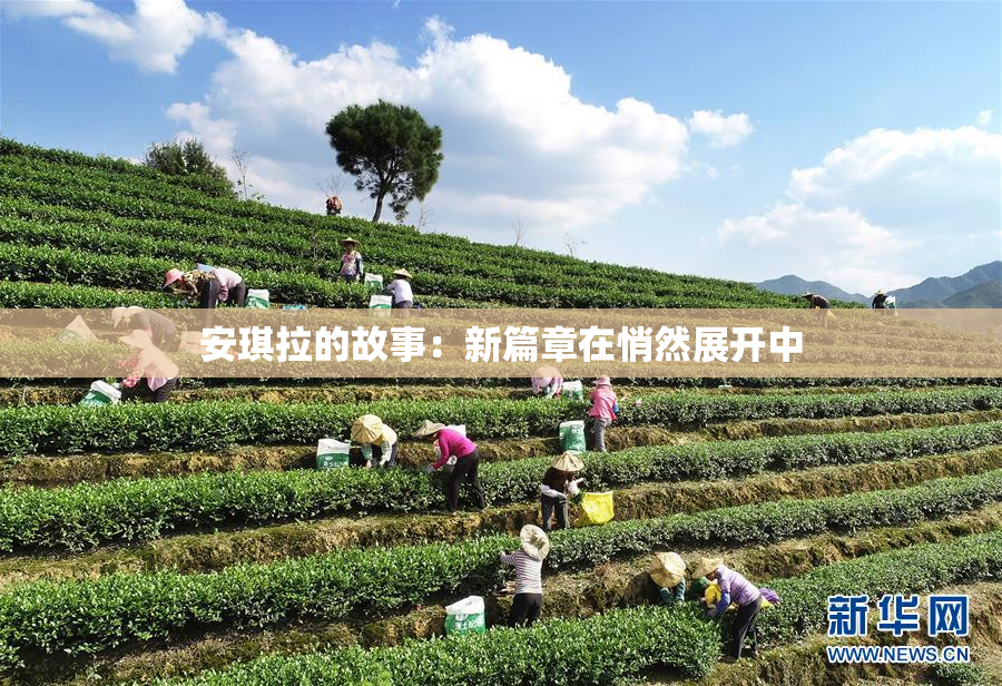 安琪拉的故事：新篇章在悄然展开中