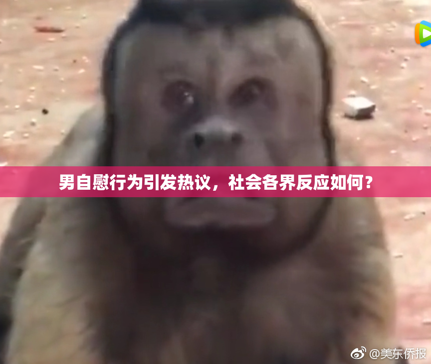 男自慰行为引发热议，社会各界反应如何？