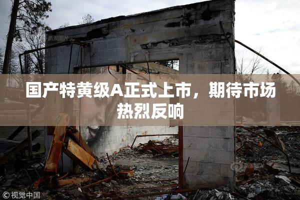 国产特黄级A正式上市，期待市场热烈反响