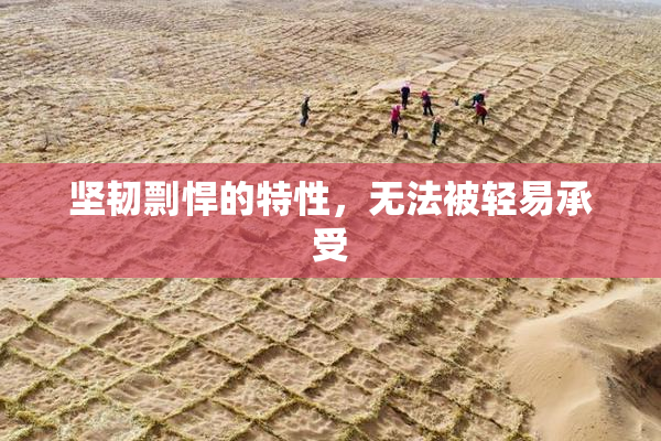 坚韧剽悍的特性，无法被轻易承受