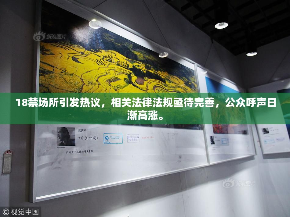 18禁场所引发热议，相关法律法规亟待完善，公众呼声日渐高涨。
