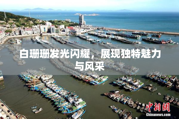 白珊珊发光闪耀，展现独特魅力与风采