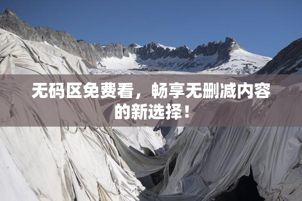 无码区免费看，畅享无删减内容的新选择！