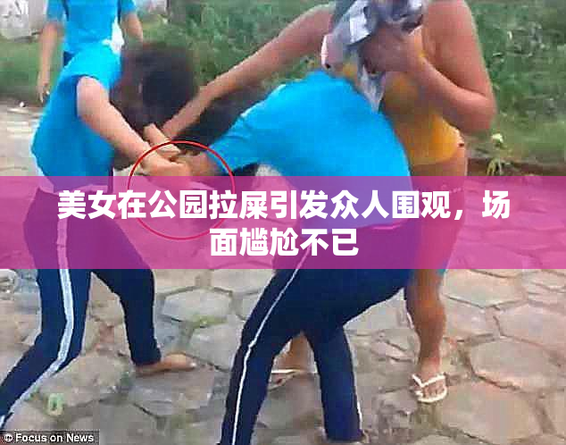 美女在公园拉屎引发众人围观，场面尴尬不已
