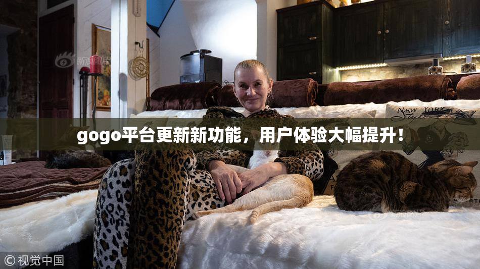 gogo平台更新新功能，用户体验大幅提升！