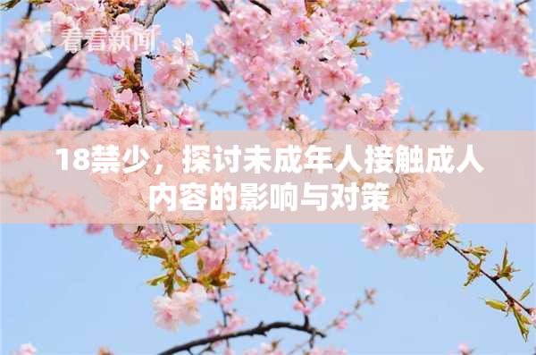 18禁少，探讨未成年人接触成人内容的影响与对策