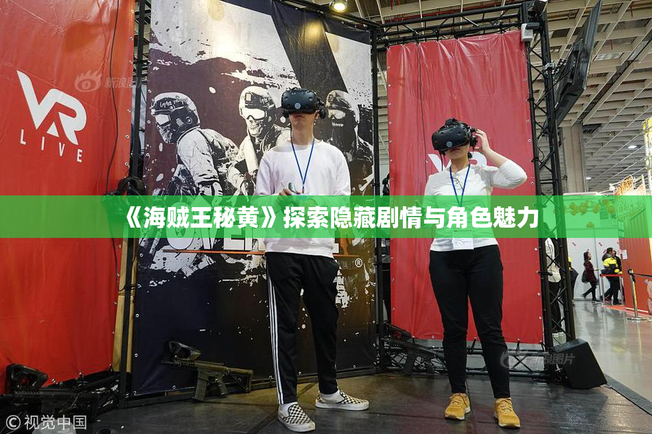 《海贼王秘黄》探索隐藏剧情与角色魅力