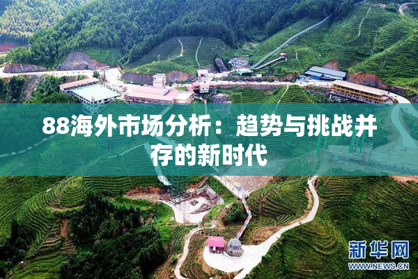 88海外市场分析：趋势与挑战并存的新时代