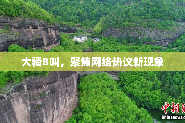 大骚B叫，聚焦网络热议新现象
