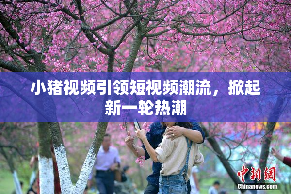 小猪视频引领短视频潮流，掀起新一轮热潮