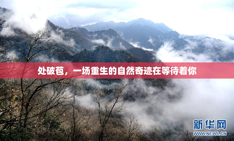 处破苞，一场重生的自然奇迹在等待着你