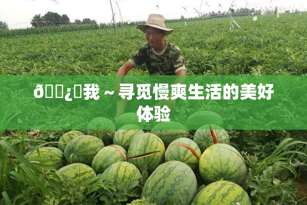 🌿‌我～寻觅慢爽生活的美好体验
