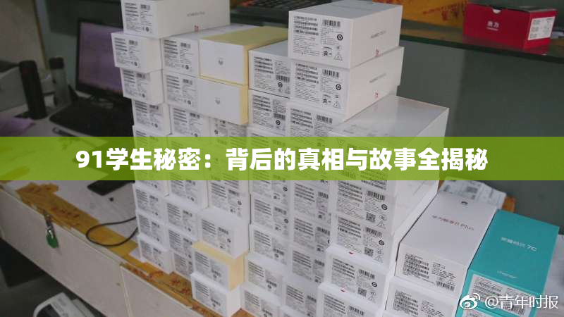 91学生秘密：背后的真相与故事全揭秘