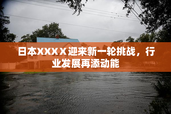日本XXXⅩ迎来新一轮挑战，行业发展再添动能