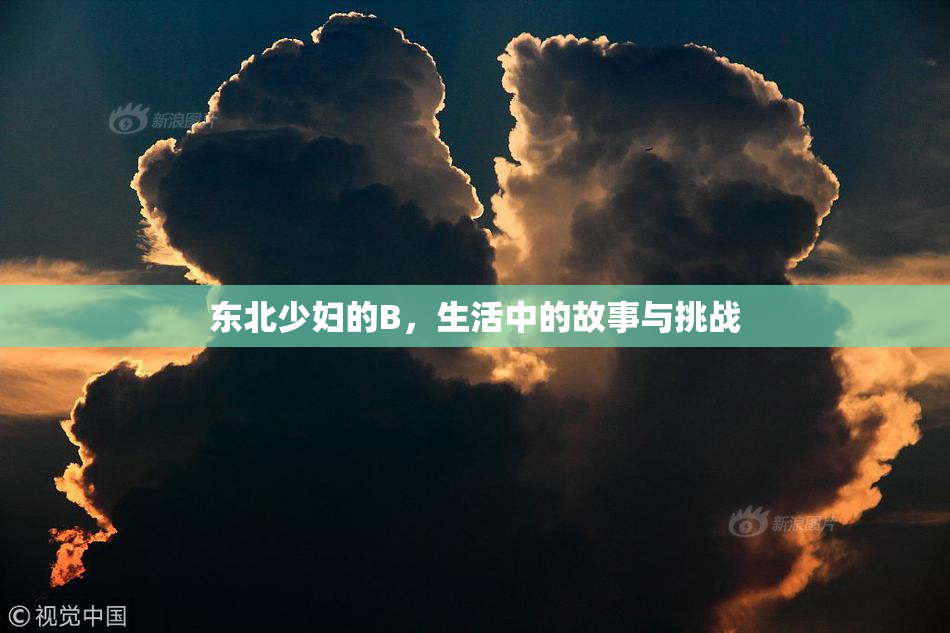 东北少妇的B，生活中的故事与挑战