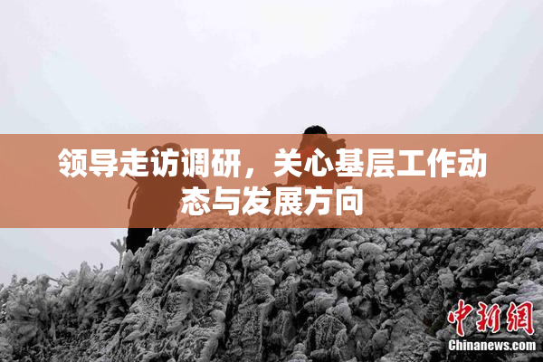 领导走访调研，关心基层工作动态与发展方向