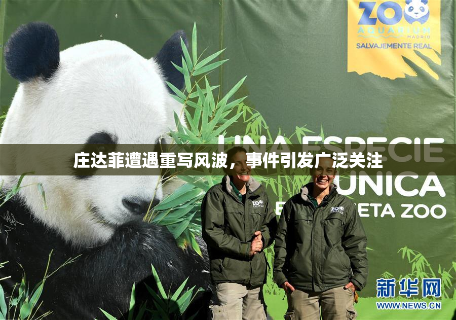 庄达菲遭遇重写风波，事件引发广泛关注