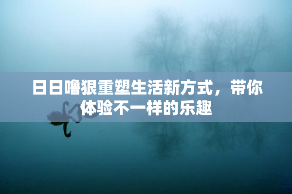 日日噜狠重塑生活新方式，带你体验不一样的乐趣