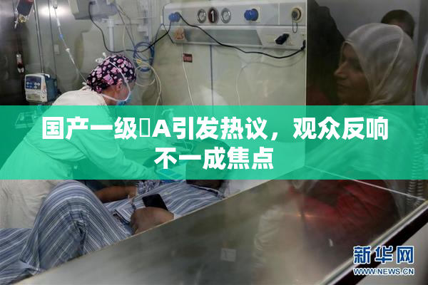 国产一级婬A引发热议，观众反响不一成焦点