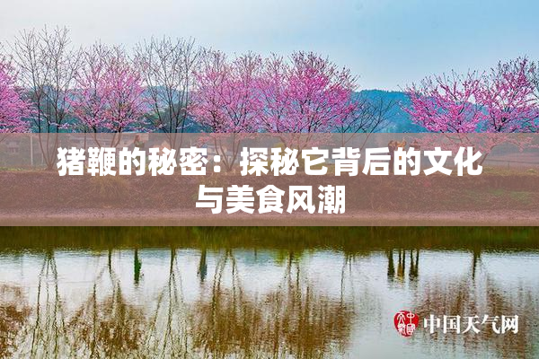 猪鞭的秘密：探秘它背后的文化与美食风潮