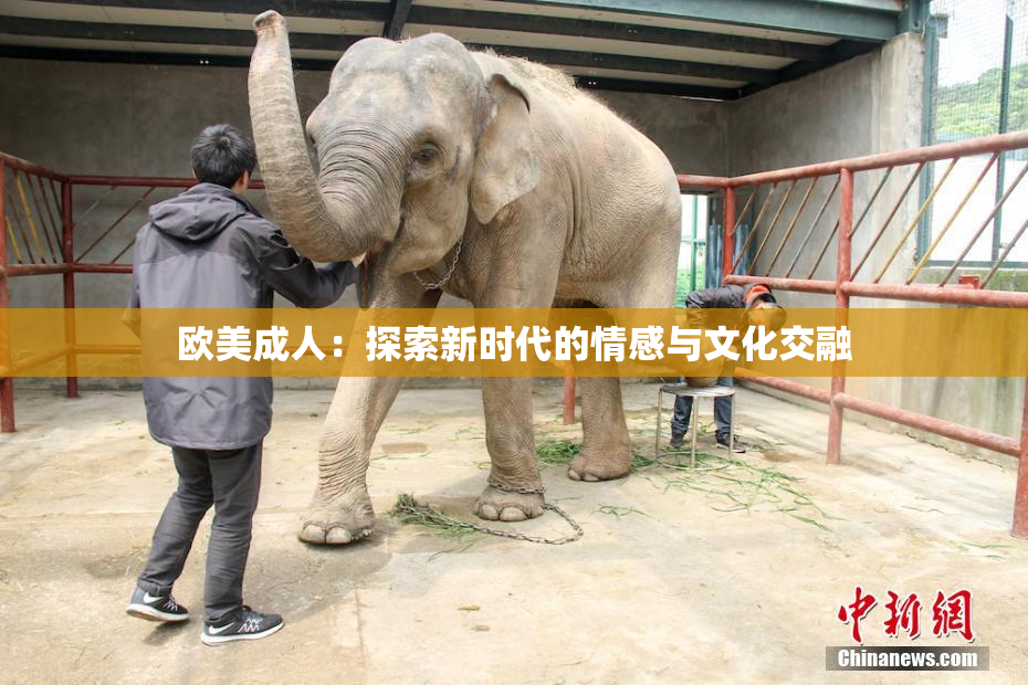 欧美成人：探索新时代的情感与文化交融