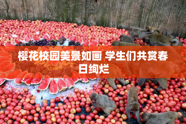 樱花校园美景如画 学生们共赏春日绚烂