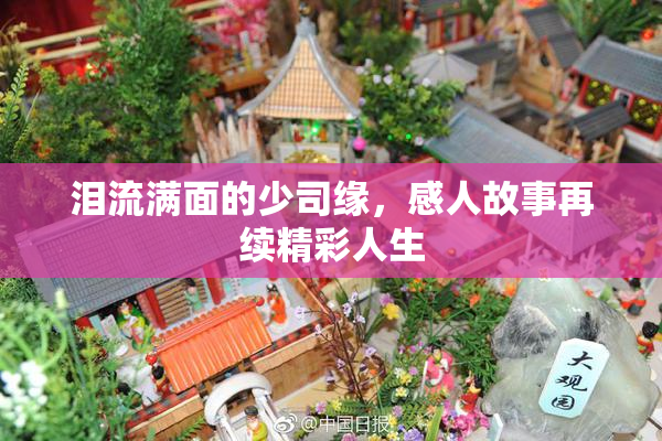 泪流满面的少司缘，感人故事再续精彩人生