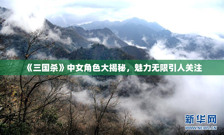 《三国杀》中女角色大揭秘，魅力无限引人关注