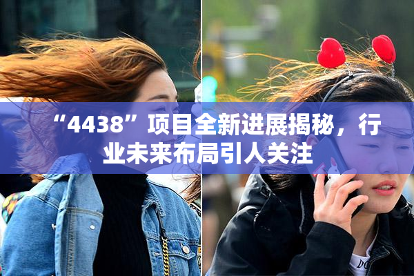 “4438”项目全新进展揭秘，行业未来布局引人关注