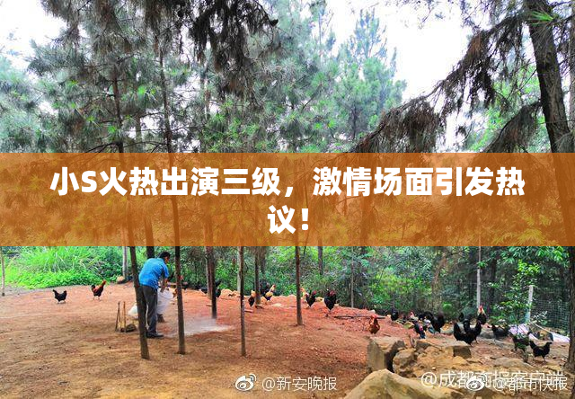 小S火热出演三级，激情场面引发热议！