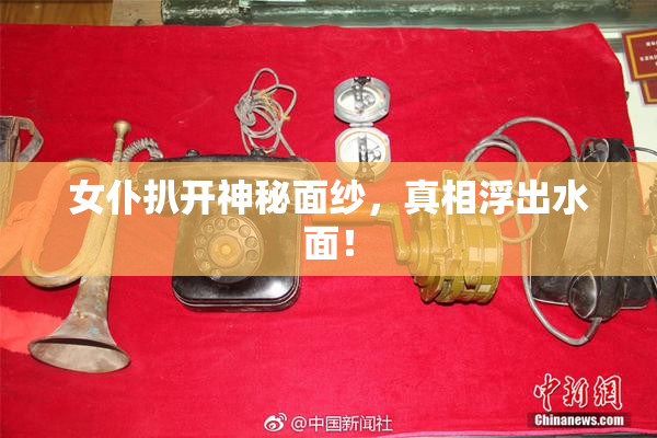 女仆扒开神秘面纱，真相浮出水面！